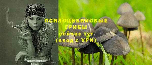 СК Верея