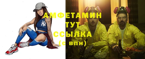 гидра Анжеро-Судженск