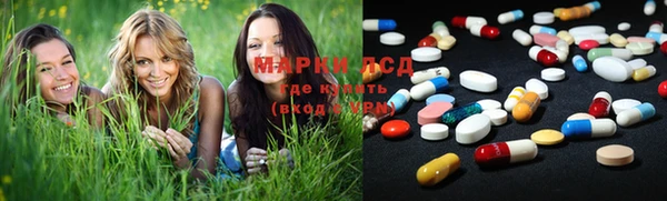гидра Анжеро-Судженск
