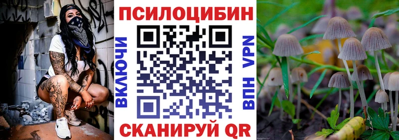 сколько стоит  Высоцк  Галлюциногенные грибы MAGIC MUSHROOMS 